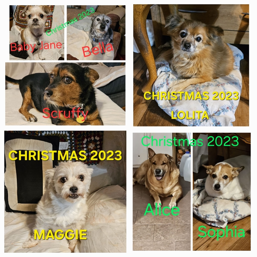 Meet your Posher, Wendy see our pictures - Picture 2 of 16